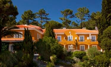 Ocean-view villa surrounded by pine trees in Cascais
