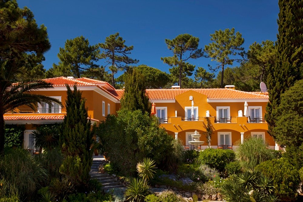 Ocean-view villa surrounded by pine trees in Portugal.